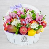 Фруктовая №2331